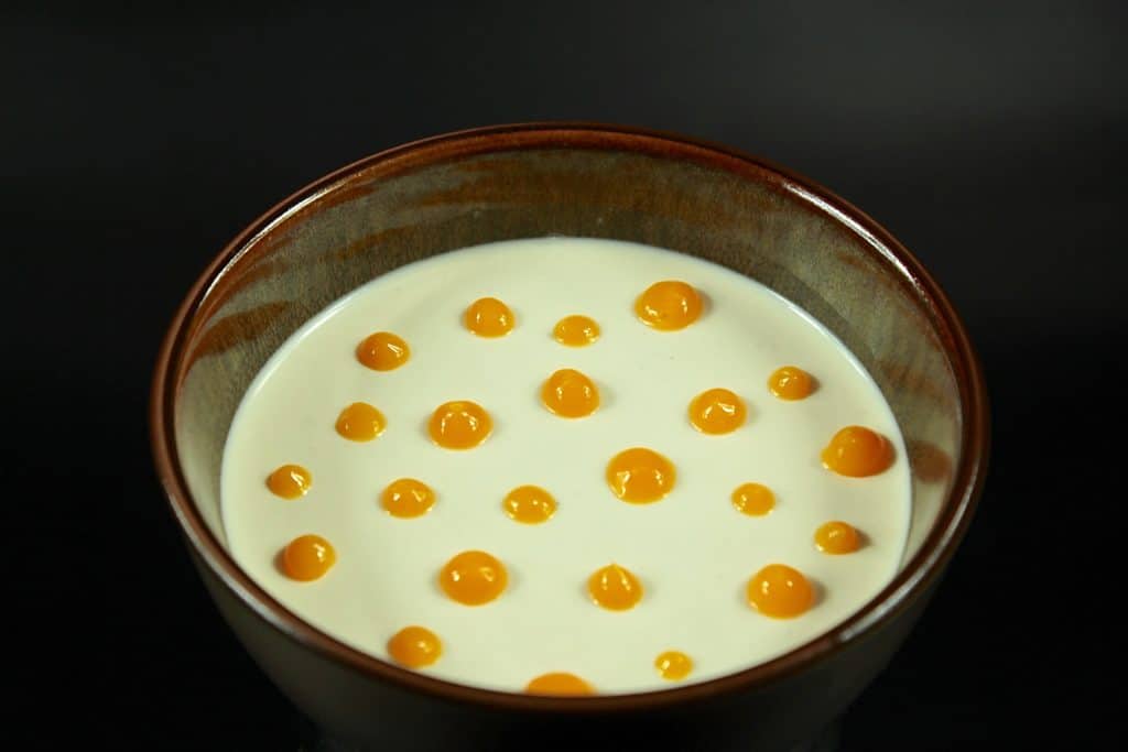 Panna cotta vanille et coulis de mangue Christophe Alary