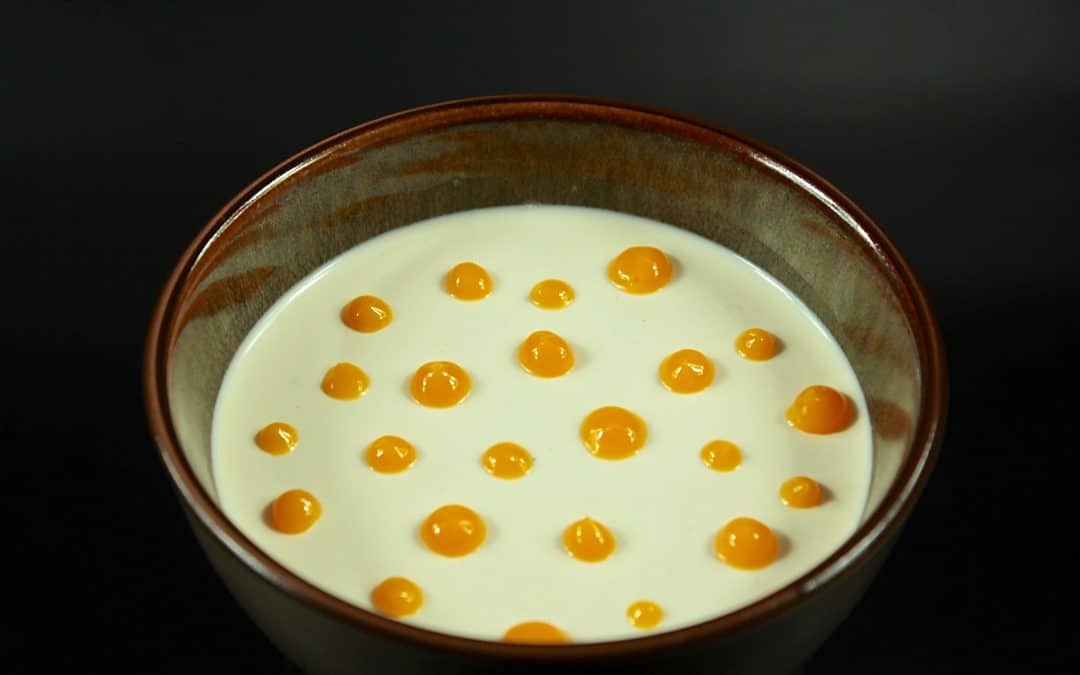 Panna cotta à la vanille