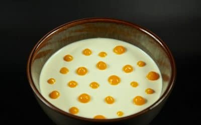 Panna cotta à la vanille